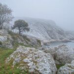 Langkah Kecil Sehari-hari untuk Menjaga Suasana Rumah Tetap Ringan